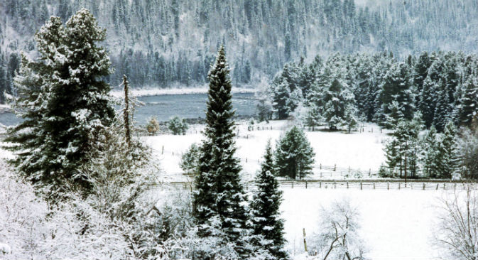 Paesaggio innevato della Siberia (Foto: Getty Images / Fotobank)